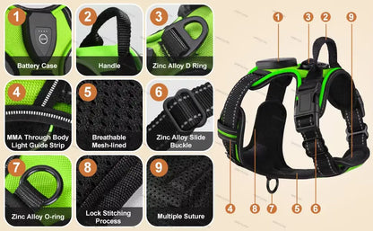 RadPaws LED Harness