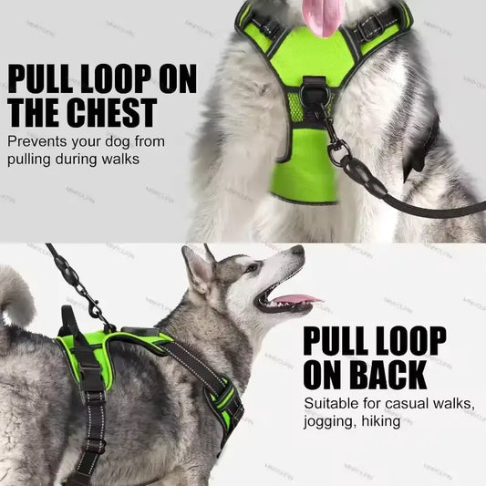 RadPaws LED Harness
