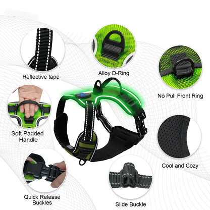 RadPaws LED Harness
