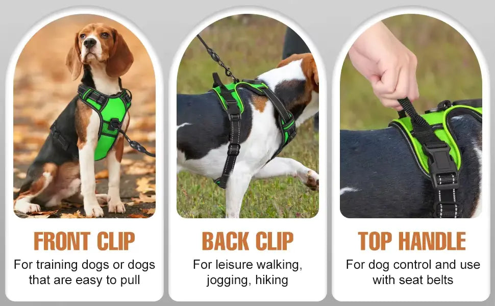 RadPaws LED Harness