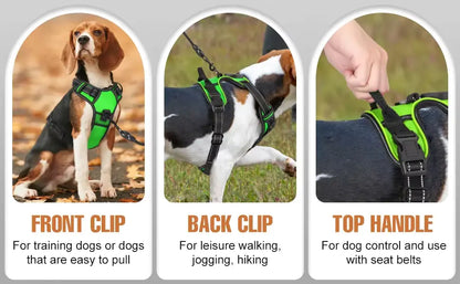 RadPaws LED Harness