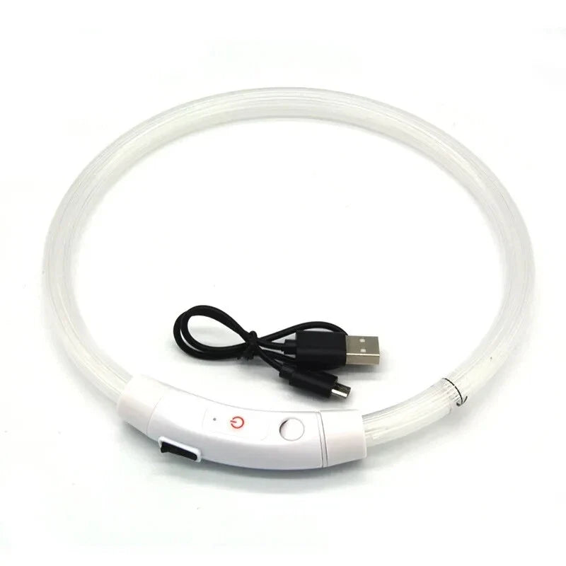 RadPaws LED Pet Collar