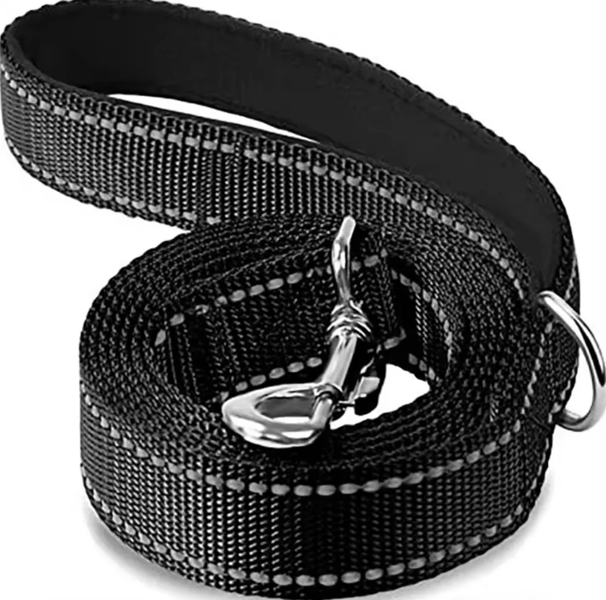 RadPaws Nylon Leash