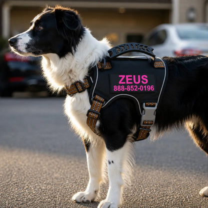 RadPaws Custom Vest