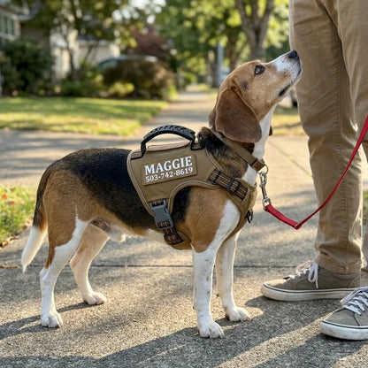 RadPaws Custom Vest